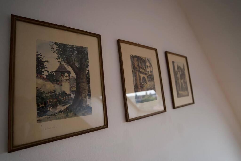 Balneo, Lumineux, Confort Colmar Dış mekan fotoğraf