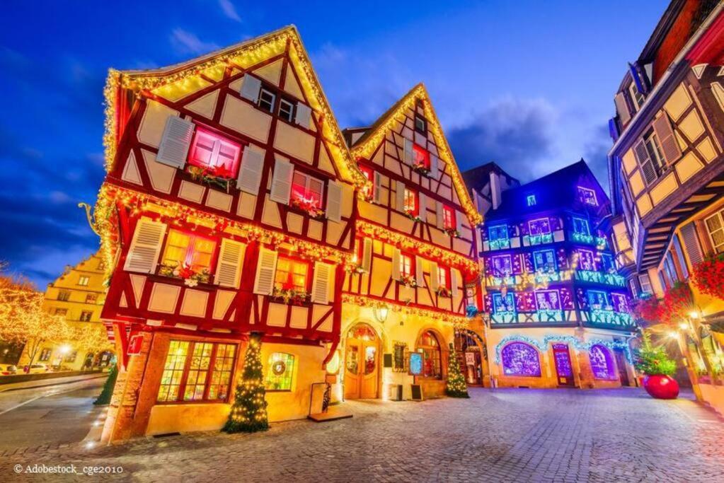 Balneo, Lumineux, Confort Colmar Dış mekan fotoğraf